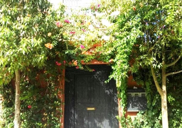 A black door with a brass plate, surrounded by lush greenery and flowering plants.