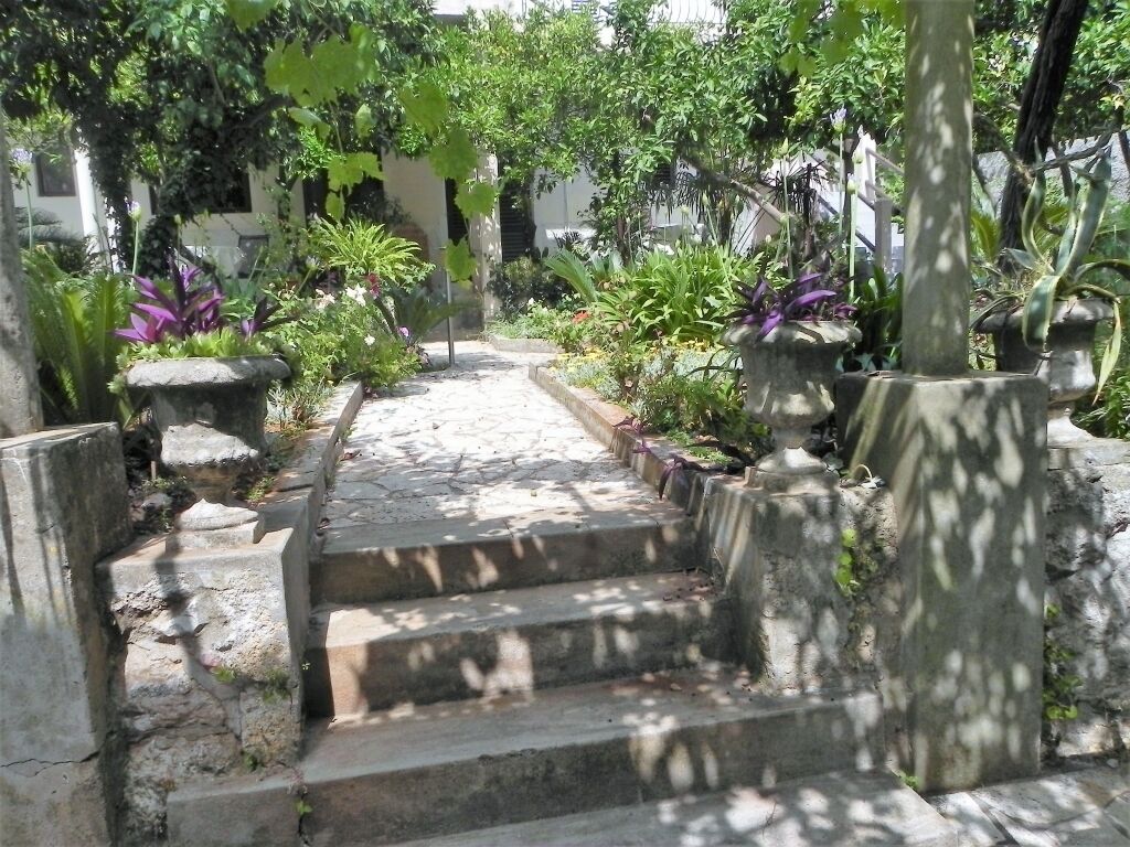 Una escalera de piedra conduce a un edificio, rodeada de exuberante follaje y diversas plantas.
