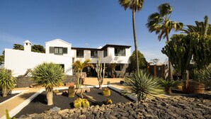 Una casa moderna con patio que cuenta con cactus y palmeras.