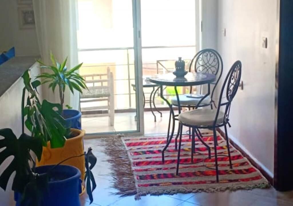 A room with a dining area featuring a table and chairs, a patterned rug, and potted plants.