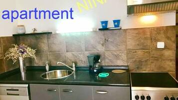 Fridge, oven, stovetop, dishwasher