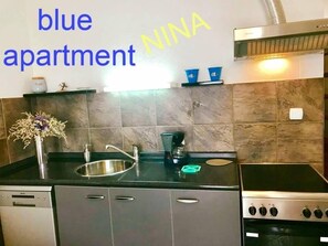 Fridge, oven, stovetop, dishwasher