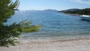 A beach with clear water, a boat, and a pine tree.