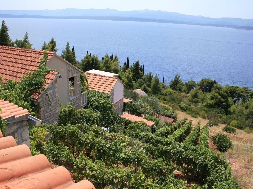 En villa vid kusten med terrakottafärgade tak, omgiven av vingårdar och med utsikt över havet.