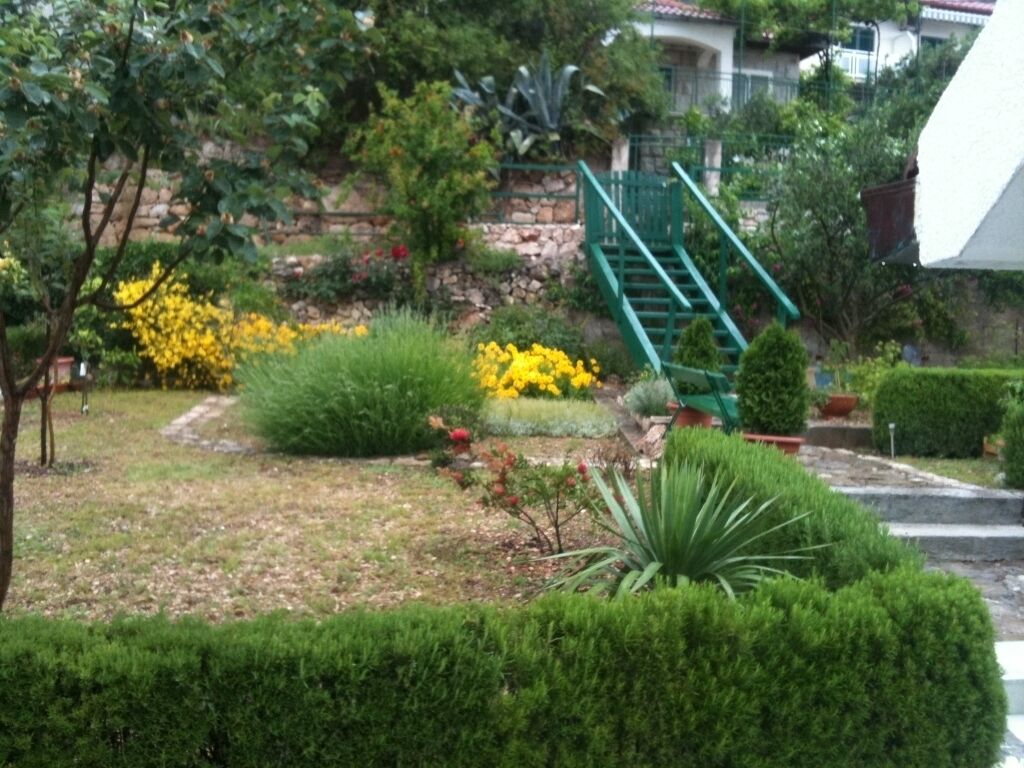 A garden with various plants and a green staircase.