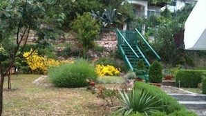 A garden with various plants and a green staircase.