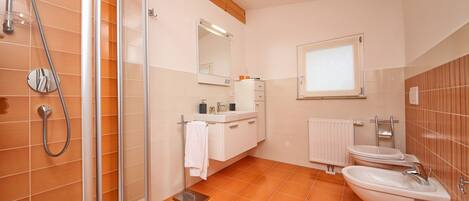 Shower, hair dryer, towels