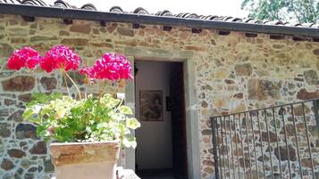 DĂ©tail de lâextĂ©rieur