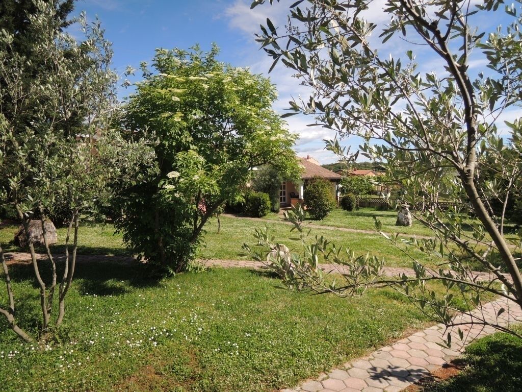A well-maintained garden with a variety of trees and shrubs, a paved pathway, and a building in the background.