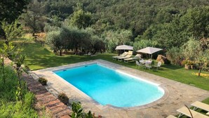 Une piscine entourée de chaises longues et de parasols, le tout niché au cœur d’un paysage verdoyant et luxuriant, agrémenté d’arbres.