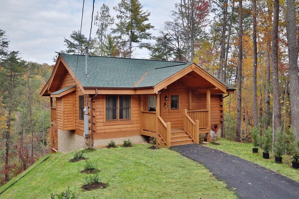Une cabane en rondins avec un toit végétalisé, une véranda en bois et une allée pavée.