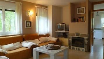 Una televisión, una chimenea, un reproductor de DVD, libros