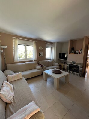 TV, fireplace, DVD player, books