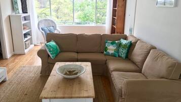 Smart TV, reproductor de DVD, mesa de ping pong, libros