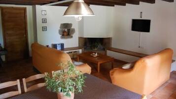 Télévision, cheminée, chaßne hi-fi