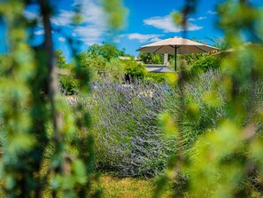 En have med lavendel og en pavillon med parasol.