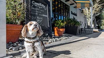 Enceinte de l’hébergement