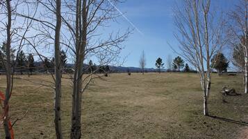 A grassy field with leafless trees and a clear sky.