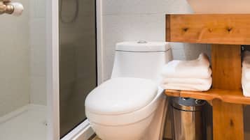 Design Double or Twin Room | Bathroom | Shower, designer toiletries, hair dryer, towels