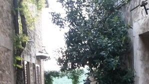 Un estrecho callejón adoquinado con paredes de piedra, plantas en macetas y una persona alejándose.