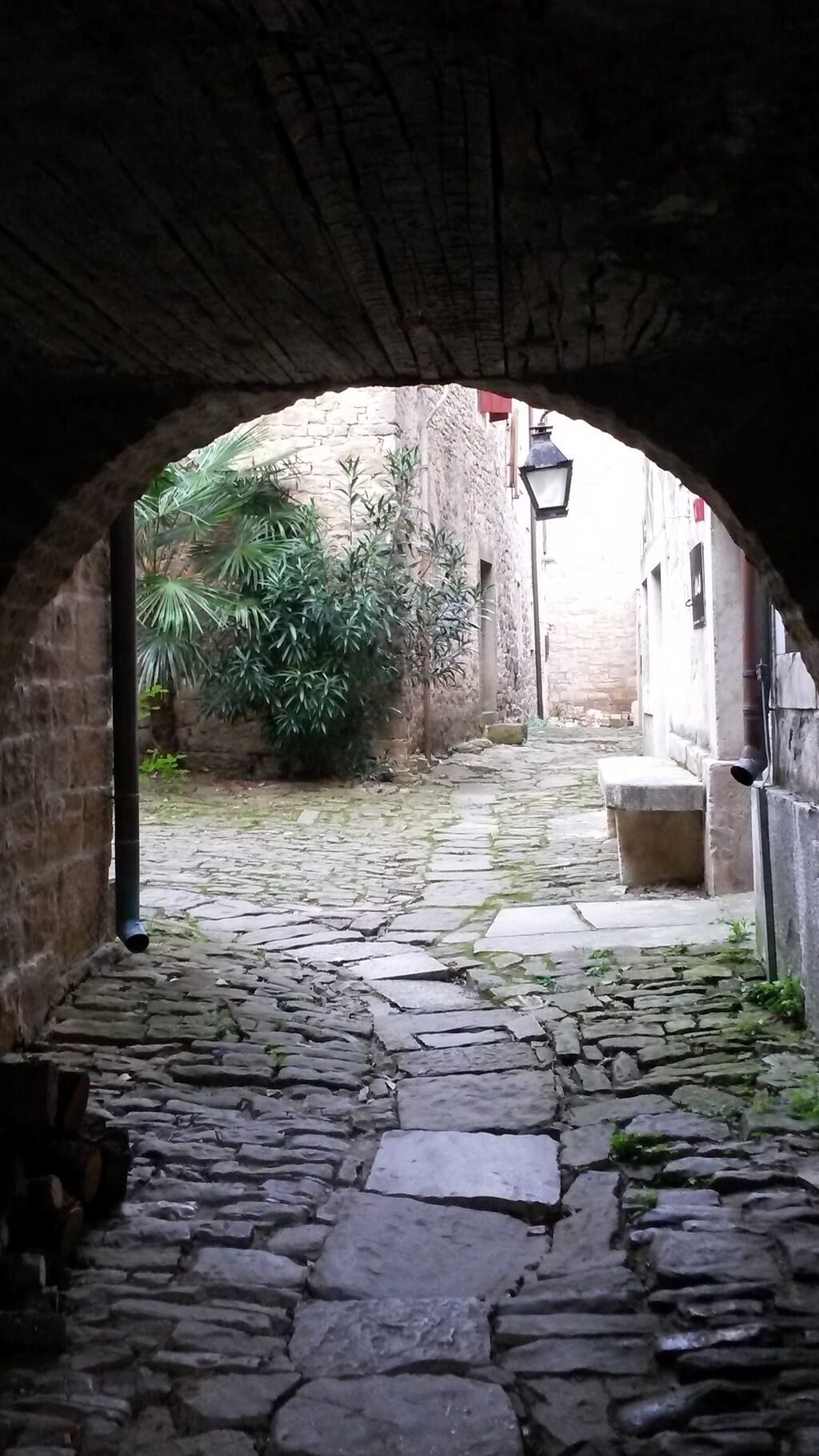 Un pasaje de piedra en arco con un camino adoquinado que lleva a un patio con vegetación y un edificio al fondo.