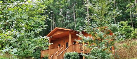 Una cabana de fusta amb un porxo i una escala, envoltada per un bosc dens.