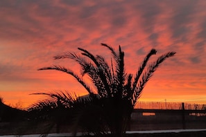 A sunset with palm trees silhouetted against a vibrant sky.