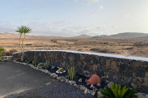 Paesaggio desertico con un muro di pietra, cactus e una catena montuosa in lontananza.