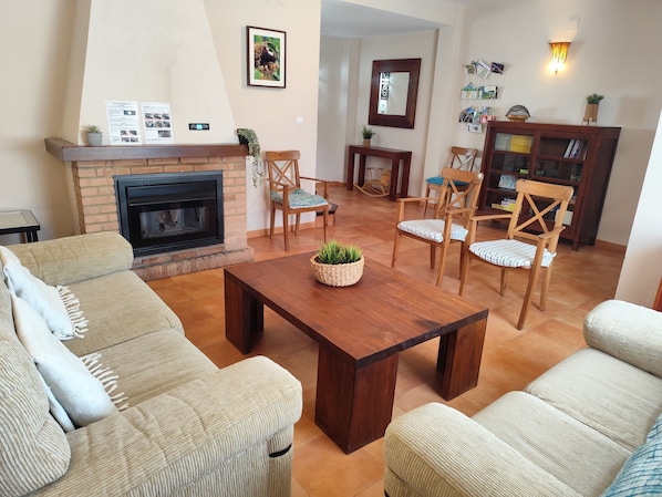 Smart TV, fireplace, DVD player, books