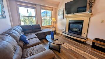 Televisión y chimenea