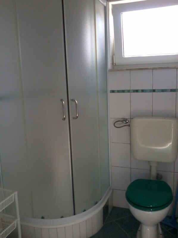A bathroom with a shower enclosure, toilet, and a small shelf.