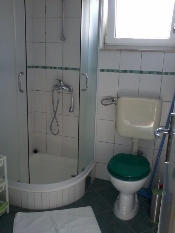 A bathroom with a glass-enclosed shower, a toilet, and a sink.