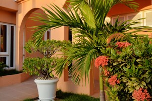 Fachada de la propiedad