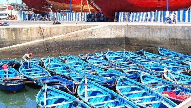 A harbor with numerous small blue boats docked in a concrete basin. - Beautiful apartment in Essaouira 4158 (Essaouira)