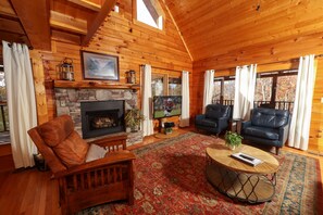 TV, fireplace, video games, DVD player