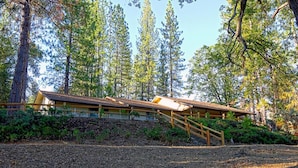 A rustic cabin with a sloped roof, surrounded by tall pine trees.