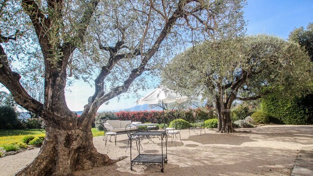 An outdoor seating area with a table and chairs, surrounded by trees and a view of a mountain.