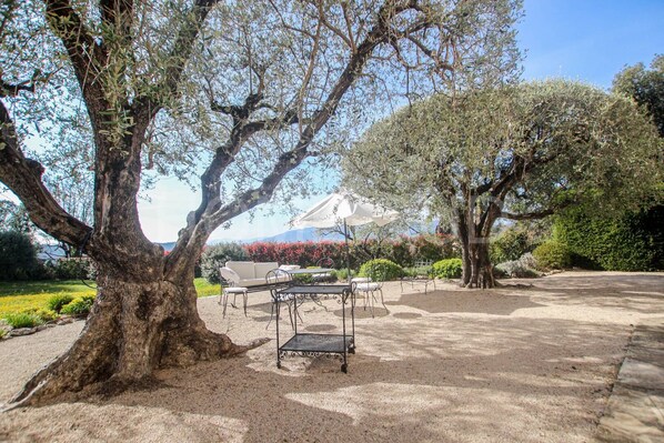 Outdoor dining - 6 room villa of 220m² with swimming pool and gorgeous olive trees park (Mouans-Sartoux)