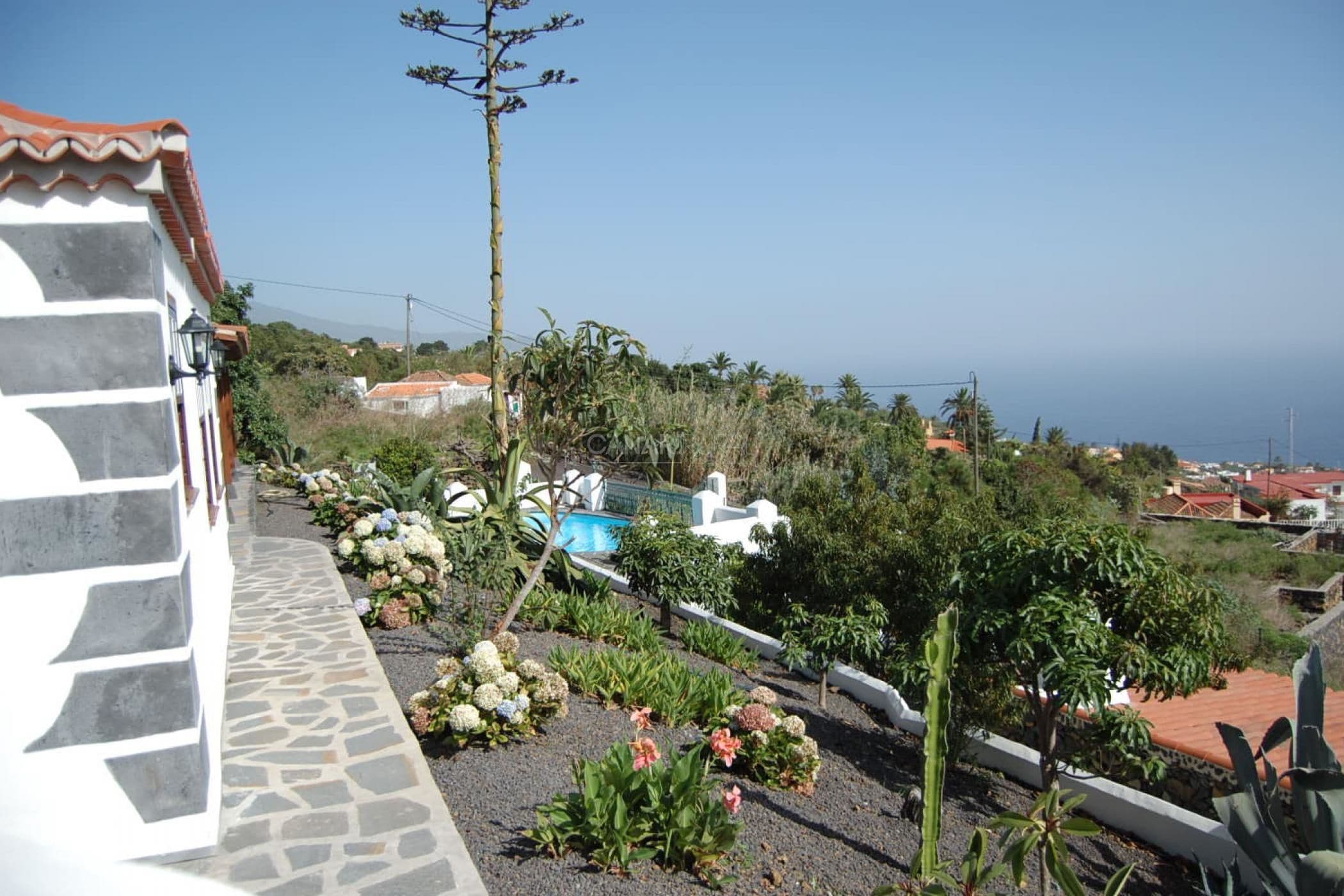 A residential area with a stone pathway, garden beds with flowers, and a view of the sea.