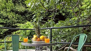 Une table ronde, sur laquelle sont disposés un panier de fruits et des verres de jus d’orange, est entourée de chaises vertes, le tout se détachant sur un décor verdoyant luxuriant.