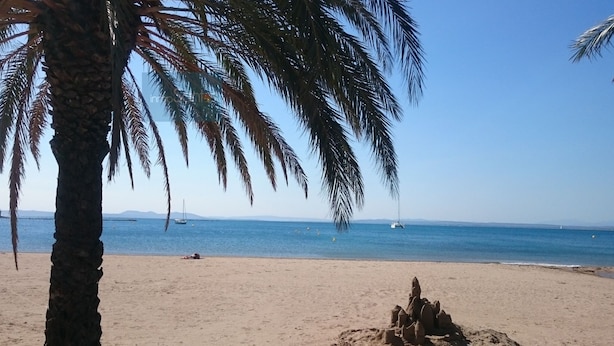 A beach with palm trees, a sandy shore, and a calm sea with boats. - Nice apartment with terrace and pool near the beach and shops Inmosantos Daniel TipoB (Rosas / Roses)