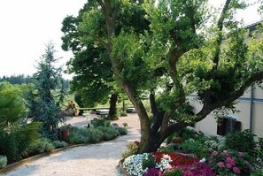 Jardines del alojamiento