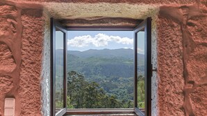 Ein Fenster mit Blick auf eine bewaldete Landschaft.