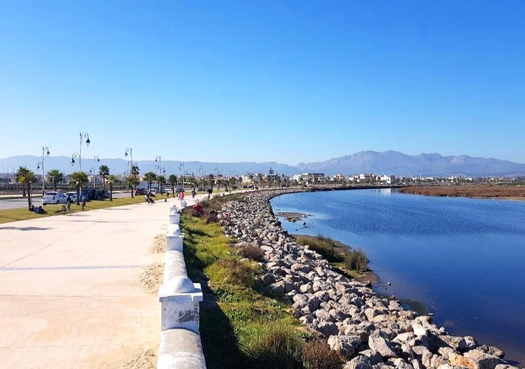 Eine Uferpromenade mit einer Steinmauer, Palmen und einem klaren Blick auf die entfernten Berge.