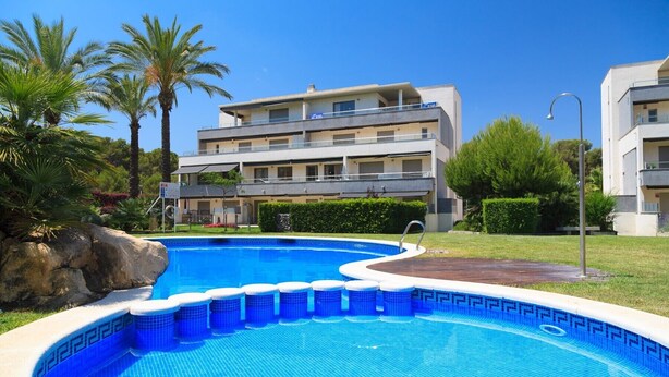 A swimming pool with a tiled edge, surrounded by a grassy area and palm trees.