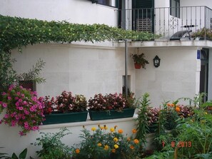 المنطقة المحيطة بالمنشأة