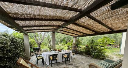 Country House / Farm House in Viareggio with 4 bedrooms sleeps 8