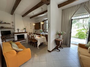 Télévision, cheminée, lecteur de DVD