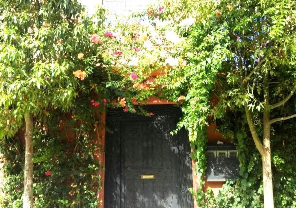 Uma porta preta com placa de latão, cercada por vegetação exuberante e plantas floridas.