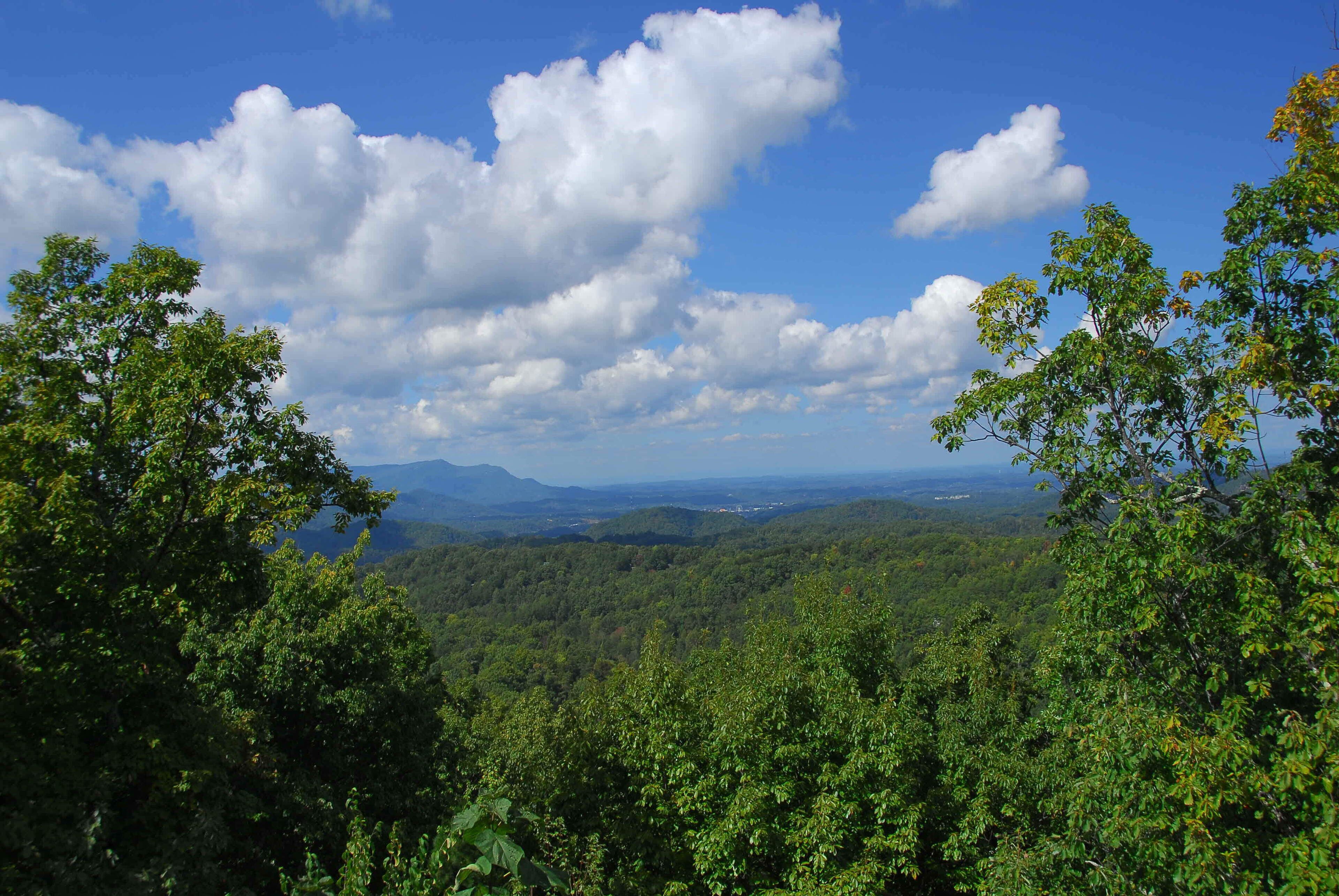 A forested landscape with a clear sky and distant mountains.